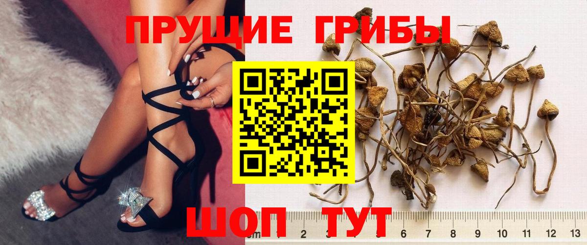 Галлюциногенные грибы прущие грибы Строитель